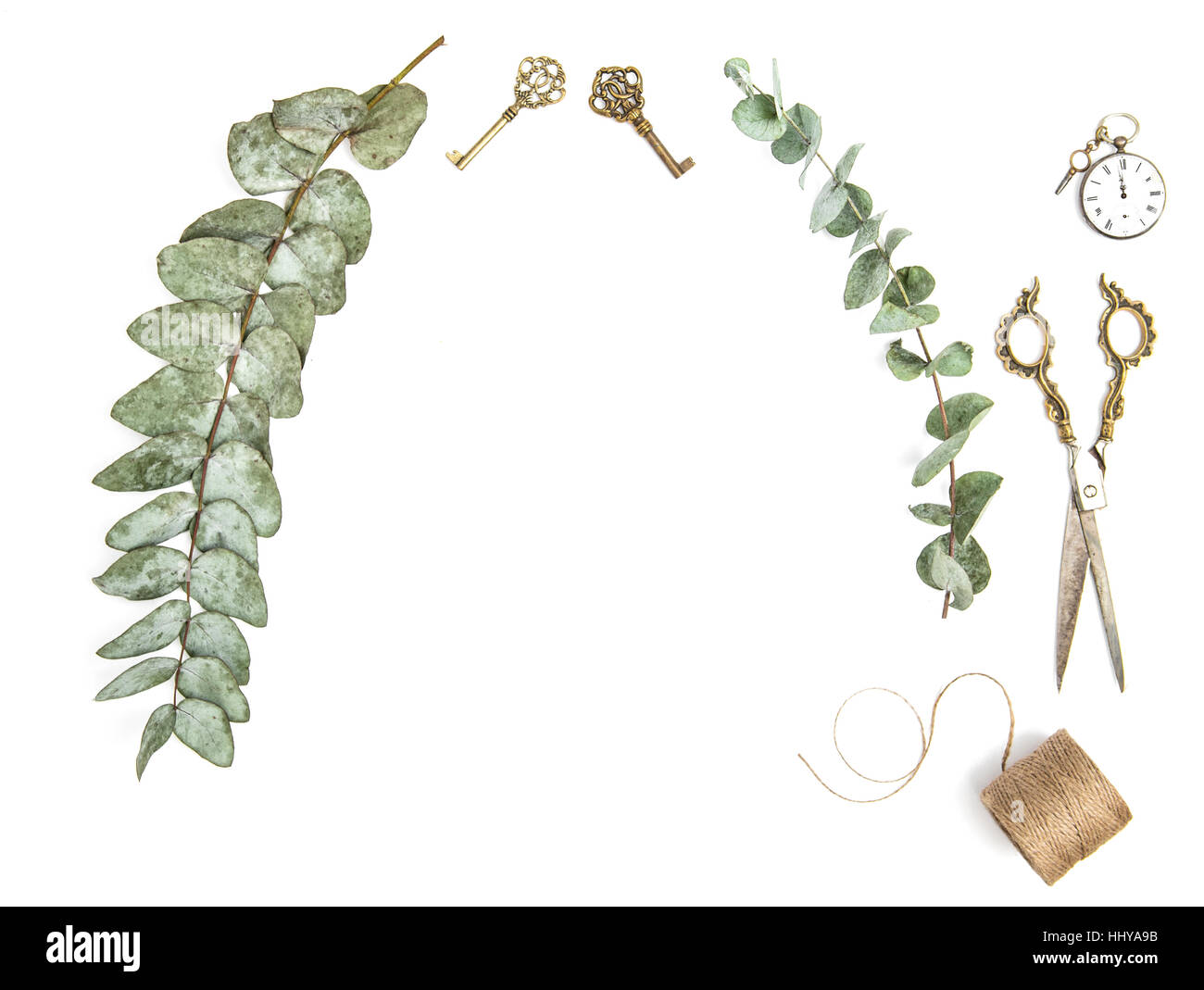 Minimalistic creative floral flat lay. Vintage tools and eucalyptus branches on white background Stock Photo