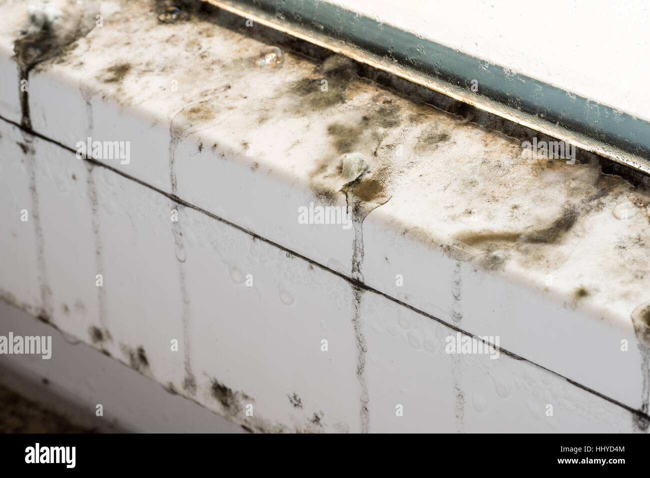 Mold on modern plastic windows, mold, fungus, mold, repair, house