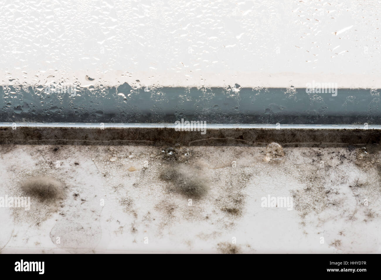 Mold on modern plastic windows, mold, fungus, mold, repair, house