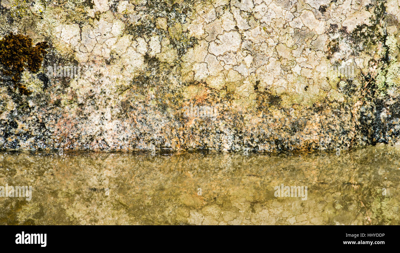 Natural background texture, lichen and moss growing on a stone with watersurface on lower one third Stock Photo