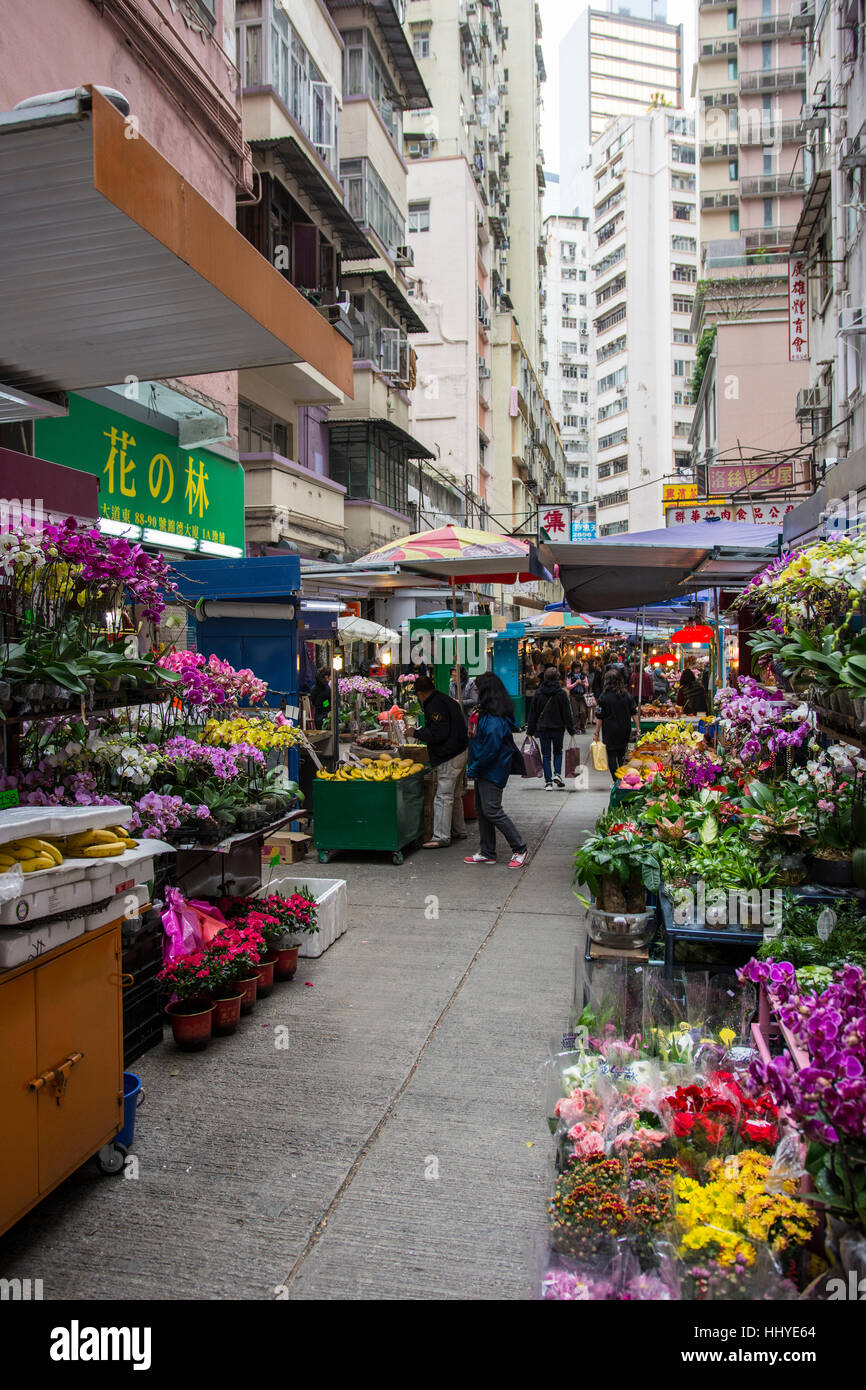 Walk flower hires stock photography and images Alamy
