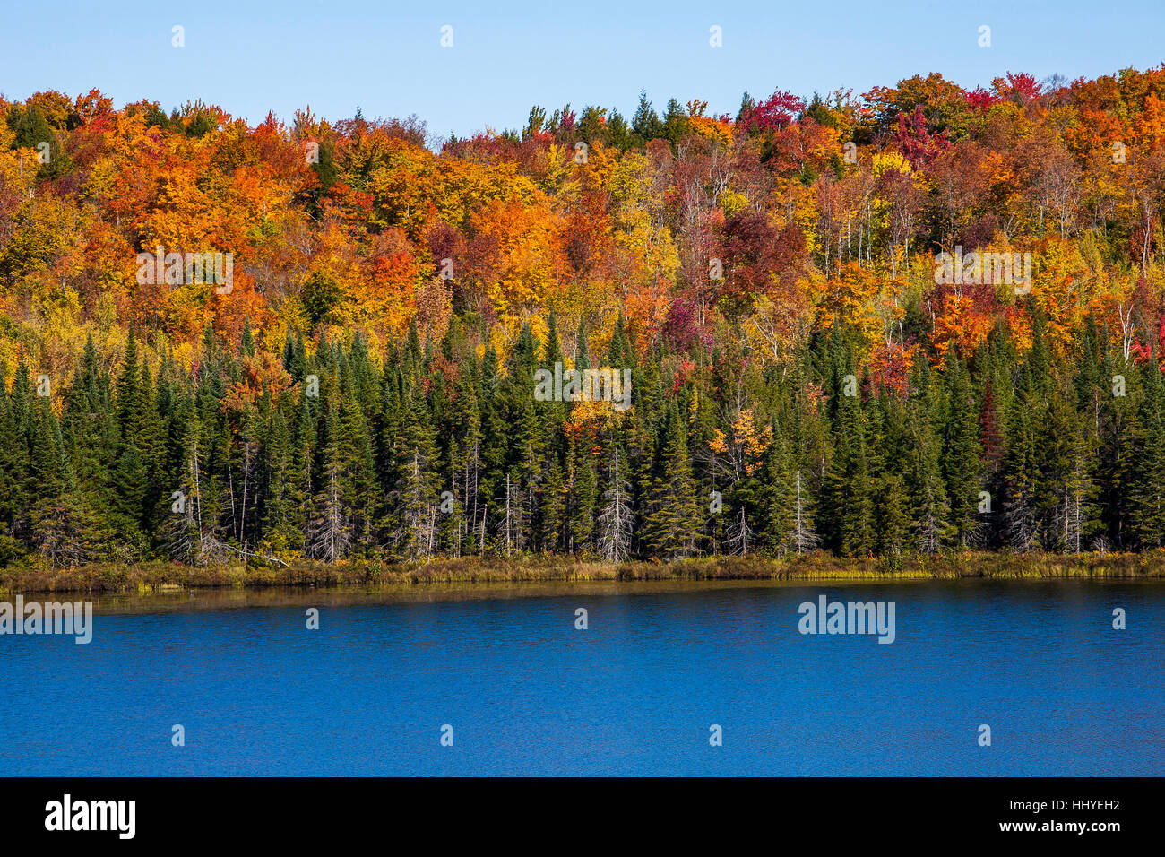 Mixed forest, lake, Eastern Townships, South Bolton, Quebec, Canada Stock Photo