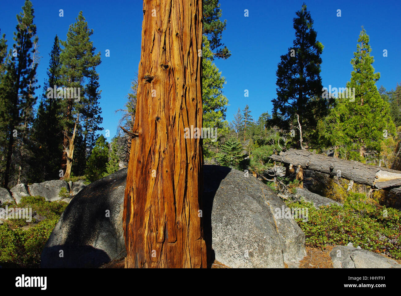 near edison lake,california Stock Photo Alamy