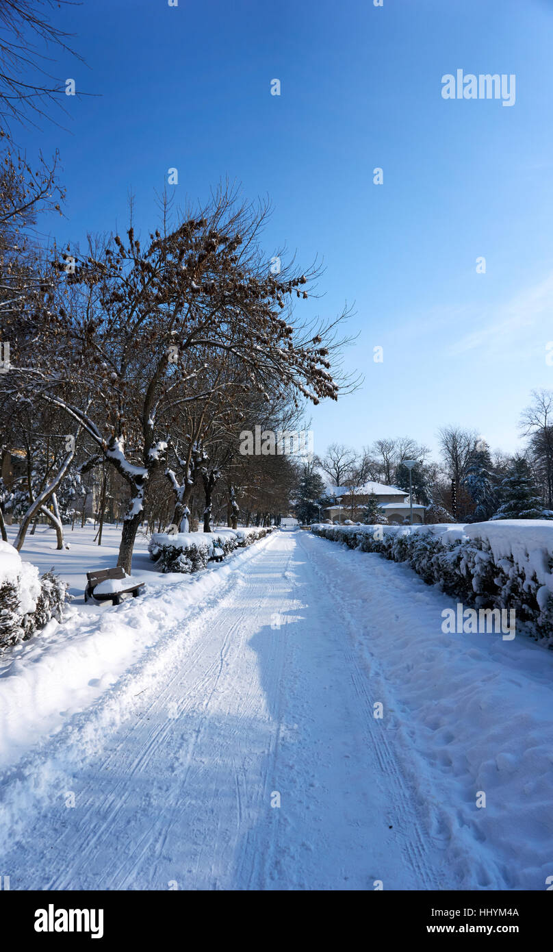 Beautiful scenes in the winter with lot of snow Stock Photo