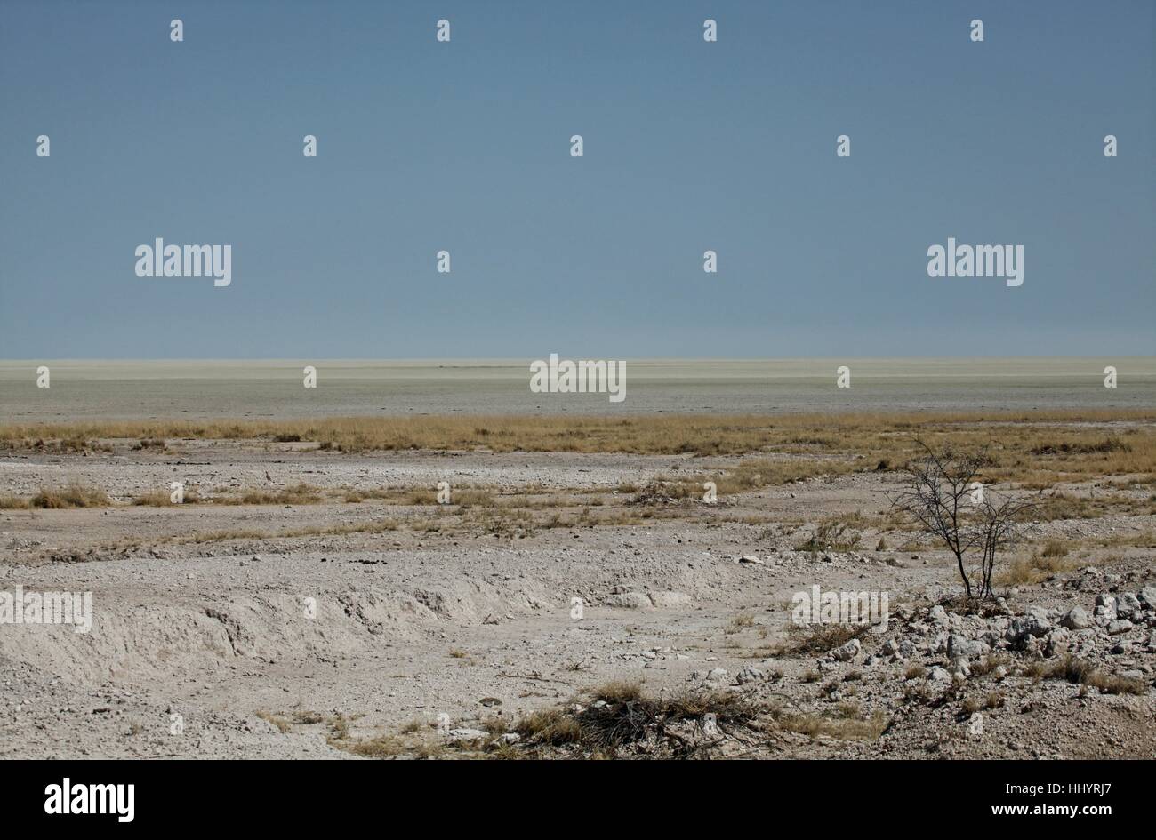 desert,wasteland,africa,namibia,width,dryness,salzpfanne,dland,etosha,halali Stock Photo