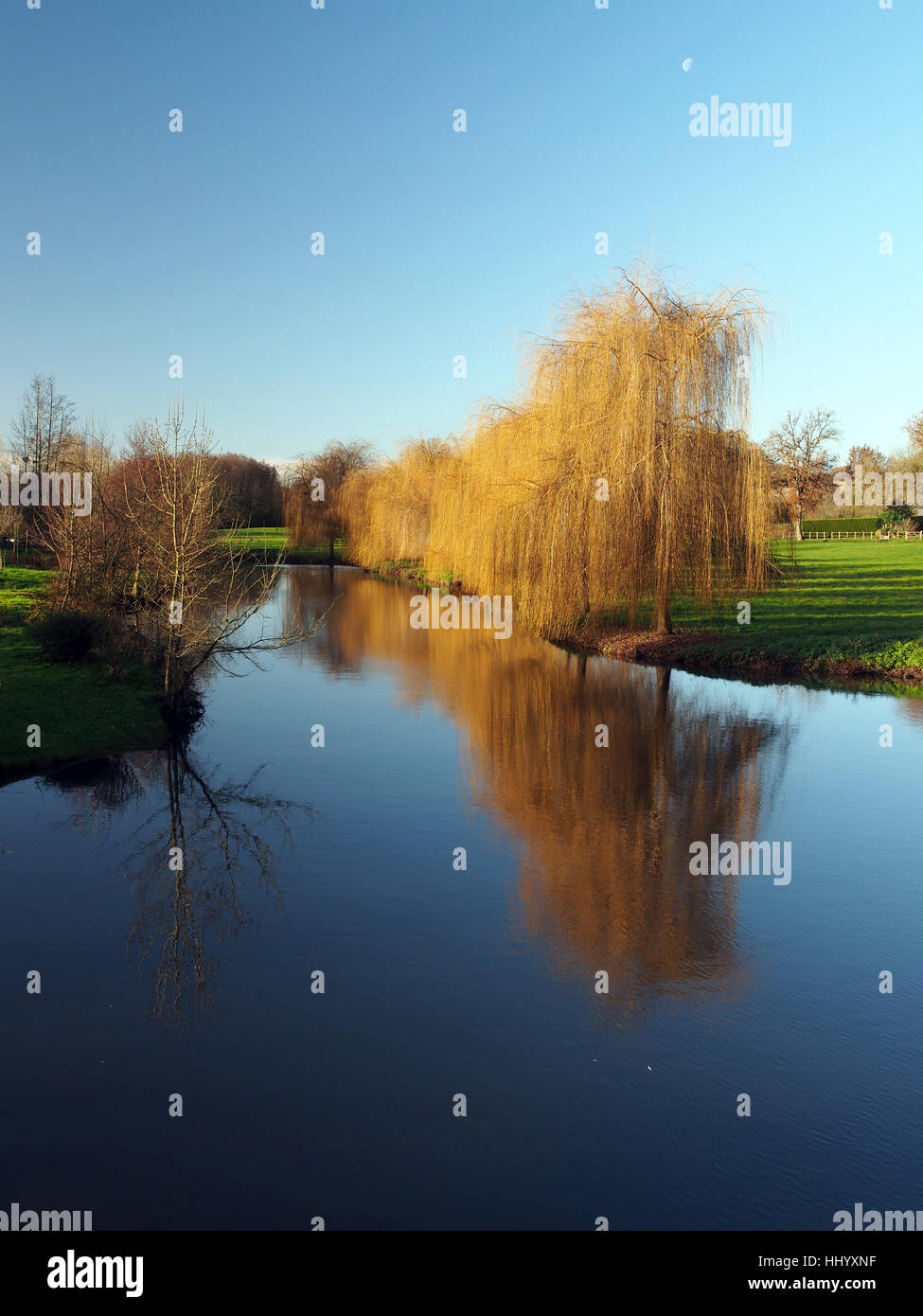 blue, environment, enviroment, tree, trees, winter, wood, field ...