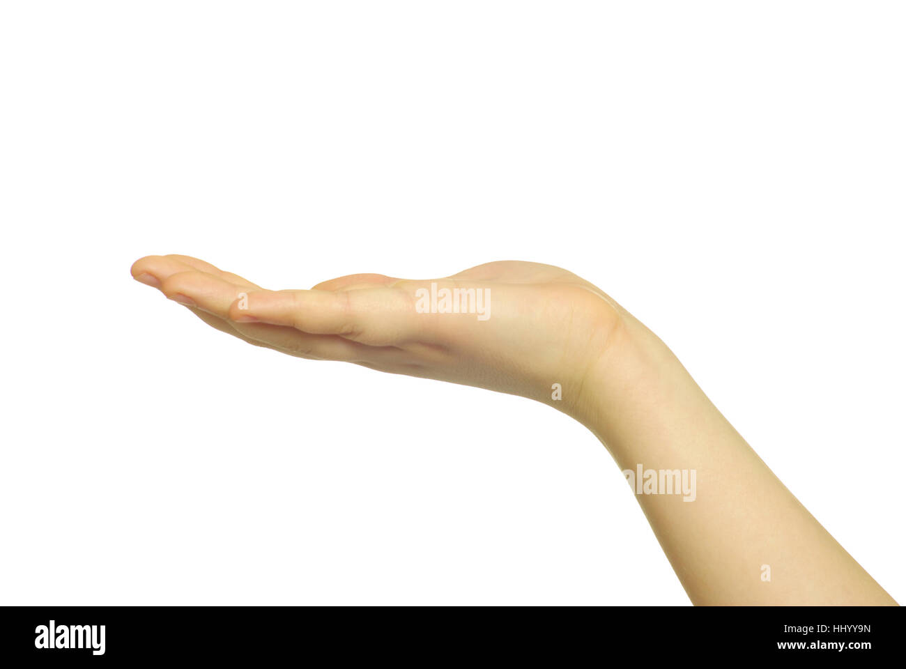 Empty woman hands isolated on white background Stock Photo - Alamy