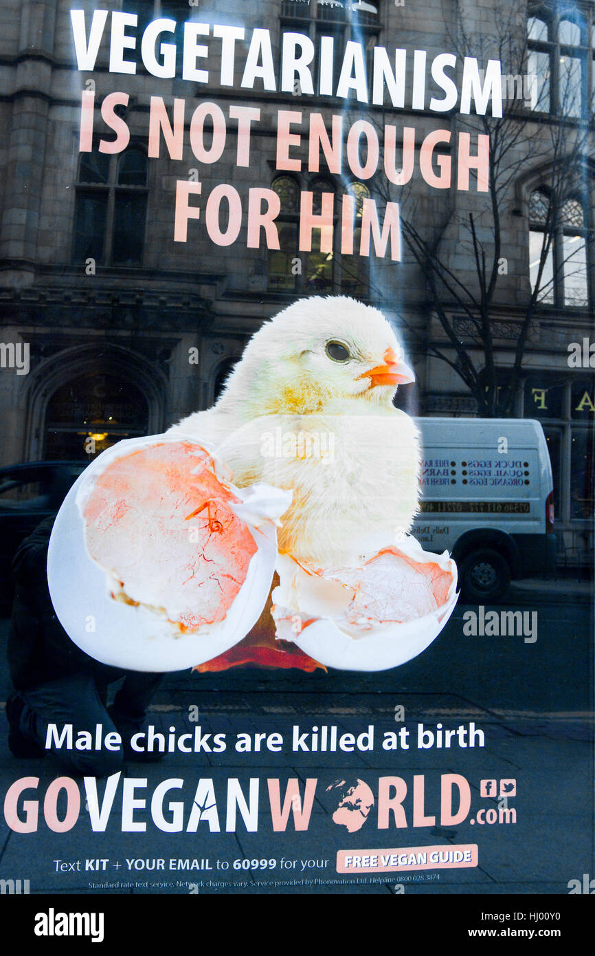 Vegetarianism Advertisement,Deansgate, Manchester, UK Stock Photo