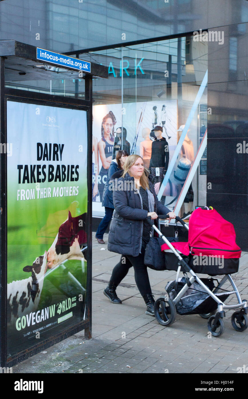 Moter with pram passing Vegetarianism Advertisement, Deansgate, Manchester, UK Stock Photo