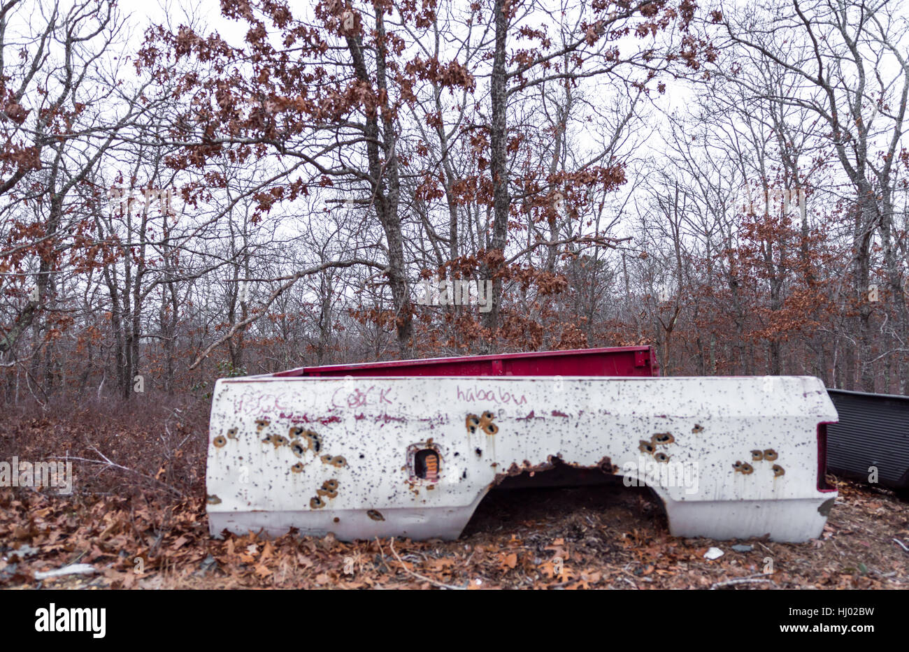 the remains of a truck bed that has been shot with various calibur guns, left out in the woods Stock Photo