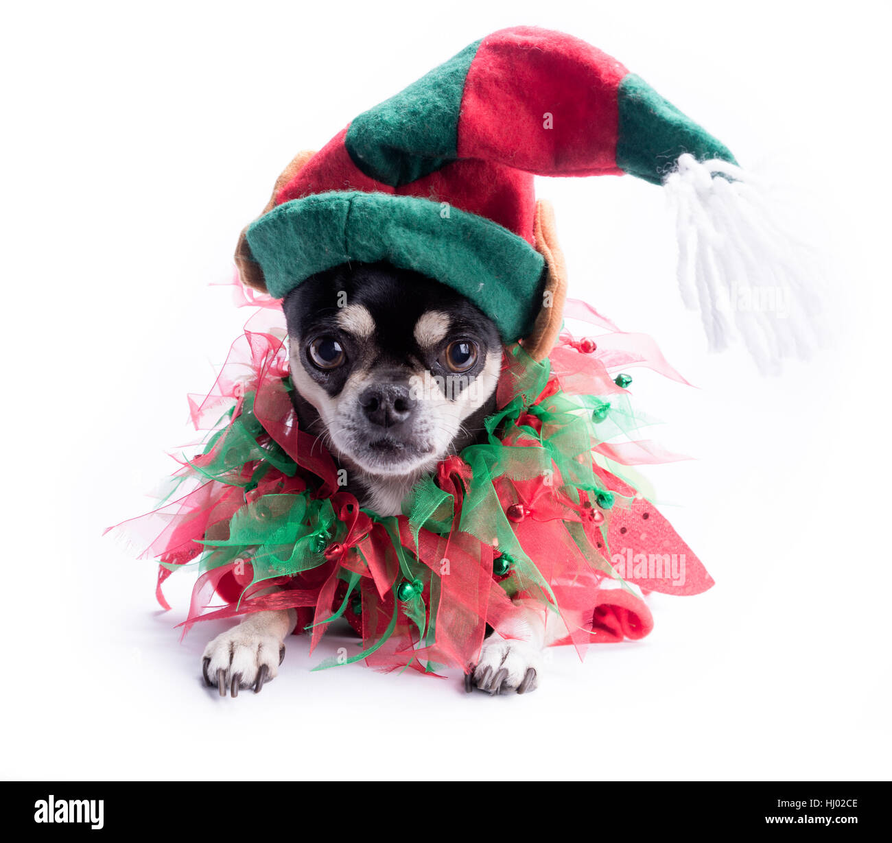 Red and white elf outfit hi res stock photography and images