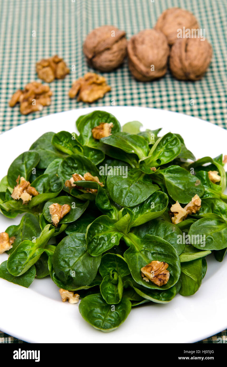 green, plate, vegetable, walnut, lamb's lettuce, salad, food, aliment, nut, Stock Photo