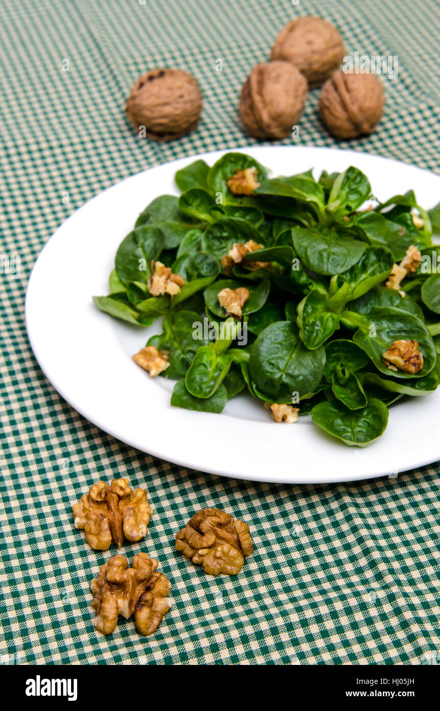 green, plate, vegetable, walnut, lamb's lettuce, salad, food, aliment, nut, Stock Photo