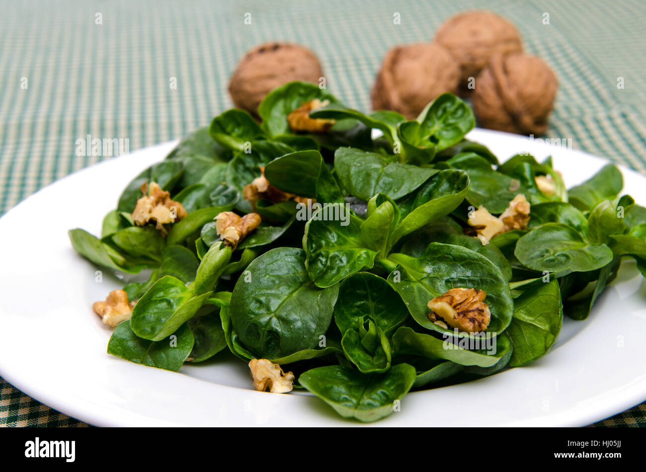 green, plate, vegetable, walnut, lamb's lettuce, salad, food, aliment, nut, Stock Photo
