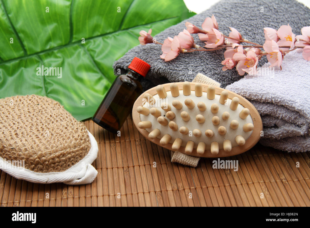 brush, hygiene, sponge, personal care, spa, wellness, flower, flowers