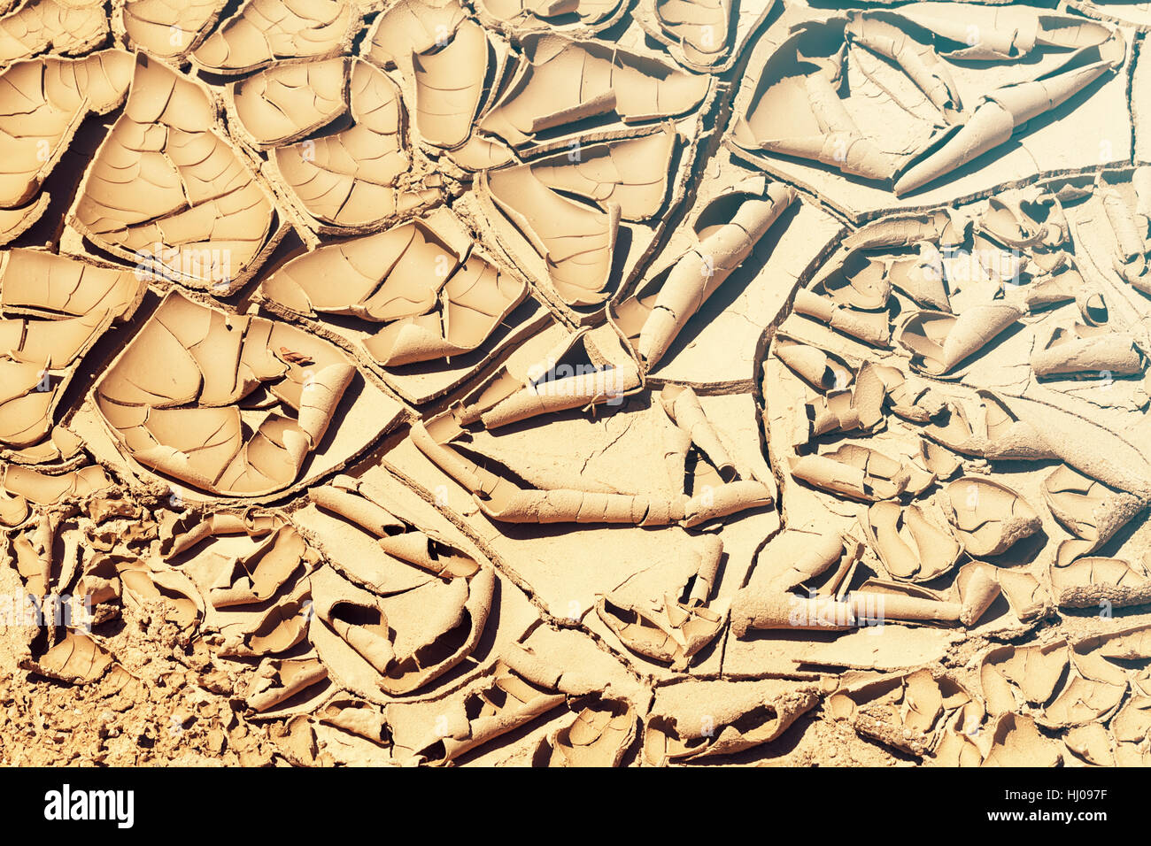 Trail of the dried and cracked mud in nature, note shallow depth of ...