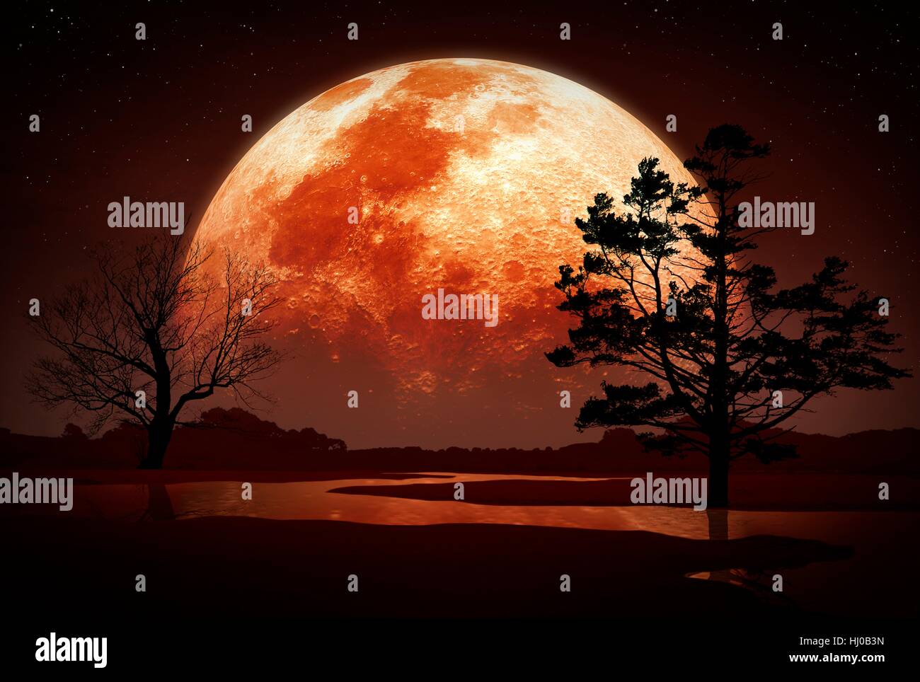 Artwork of a reddened Moon rising or setting, seen in the background of a tree-strewn landscape. Stock Photo