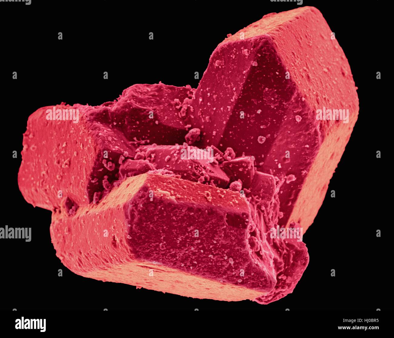 Coloured scanning electron micrograph (SEM) of Table sugar (sucrose) crystals. Sucrose, or common table sugar (also called saccharose), is a disaccharide that consists of two component monosaccharidesglucose and fructose. It is best known for its role in human nutrition and is formed by plants but not by higher organisms. It is commonly used as a sweetener. Magnification: x61 when shortest axis printed at 25 millimetres. Stock Photo