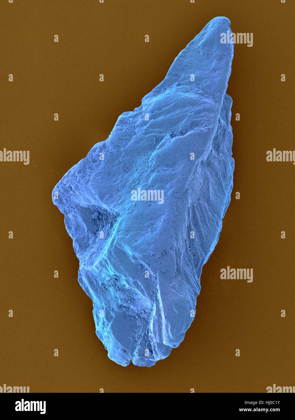 Coloured scanning electron micrograph (SEM) of an uncut sapphire. Sapphire is a typically blue gemstone variety of the mineral corundum (aluminium oxide). Sapphire is very dense and very hard. Non-gem quality sapphire is often used as an industrial abrasive, or as scratch-resistant glass. Magnification: x130 when shortest axis printed at 25 millimetres. Stock Photo