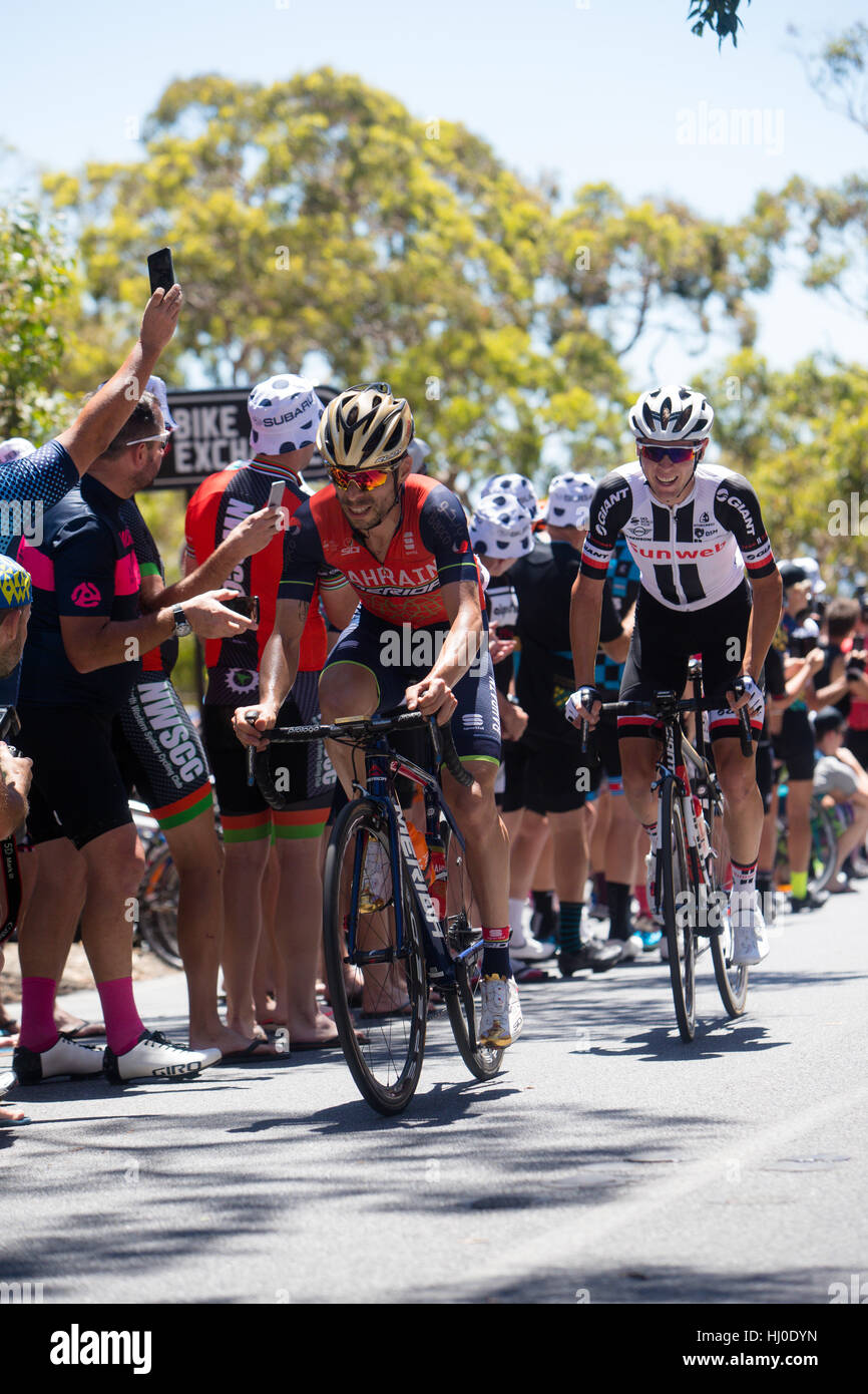 bike exchange aust