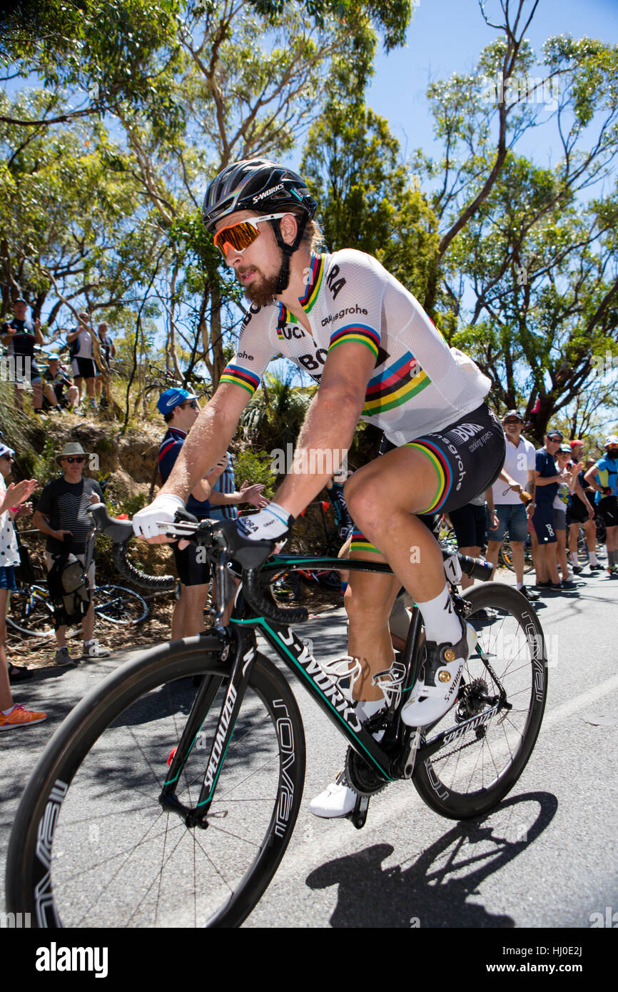 bike exchange aust