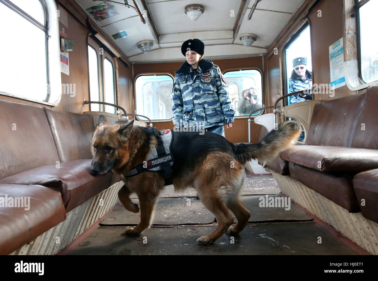 russian metro dogs