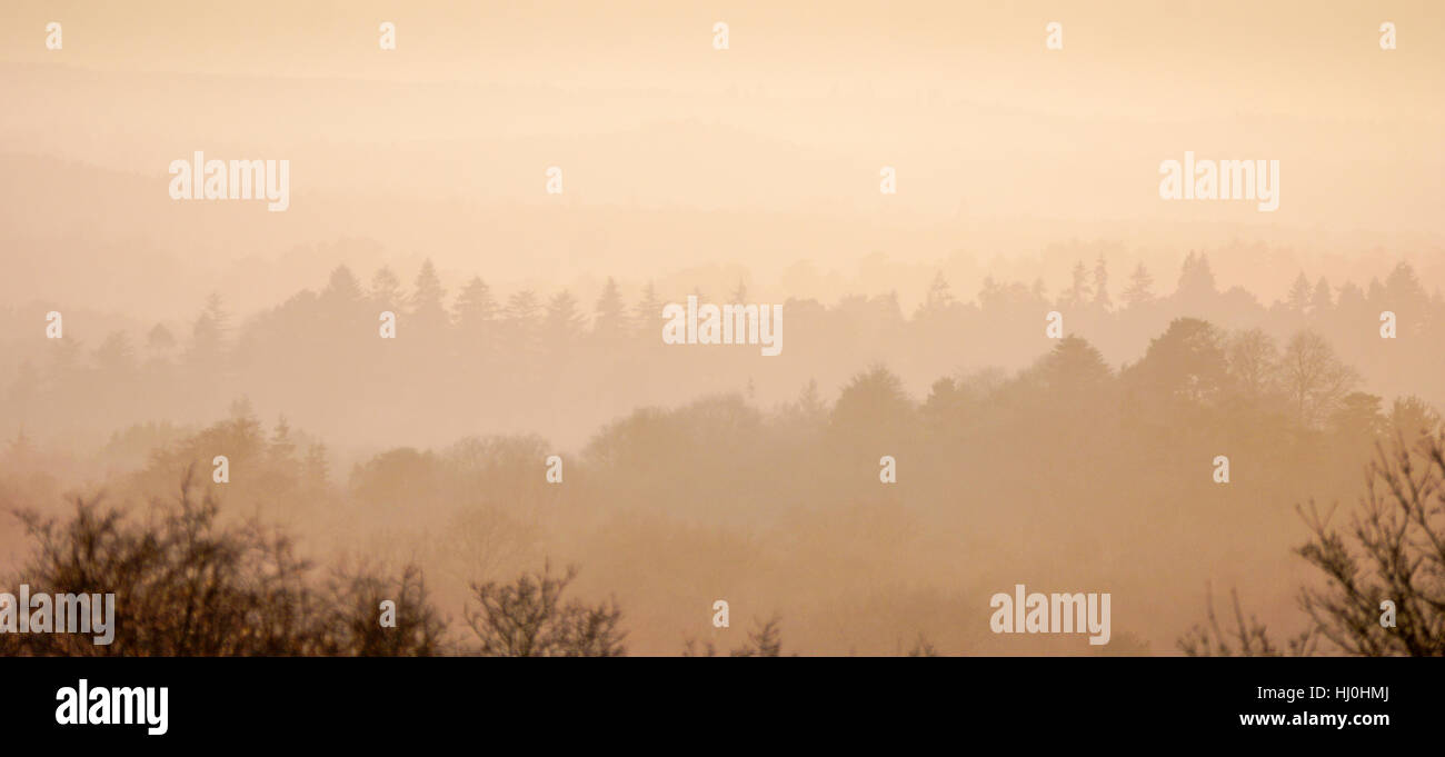 Puttenham Common, Elstead. 21st January 2017. High pressure