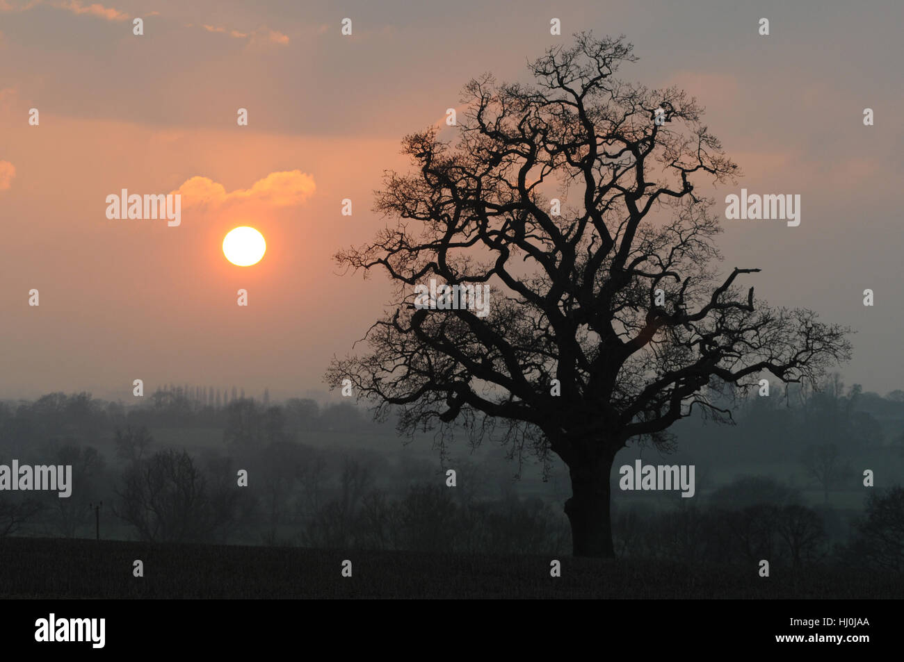 Leominster, Herefordshire, UK.  21st Jan, 2017. A stunning sunset marks the end of a cold day where temperatures barely got above 2c. Credit: Andrew Compton/Alamy Live News Stock Photo