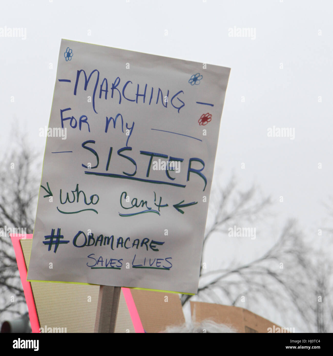 Washington, DC, United States. 21st Jan, 2017. Women's March on Washington. Credit: Susan Pease/Alamy Live News Stock Photo
