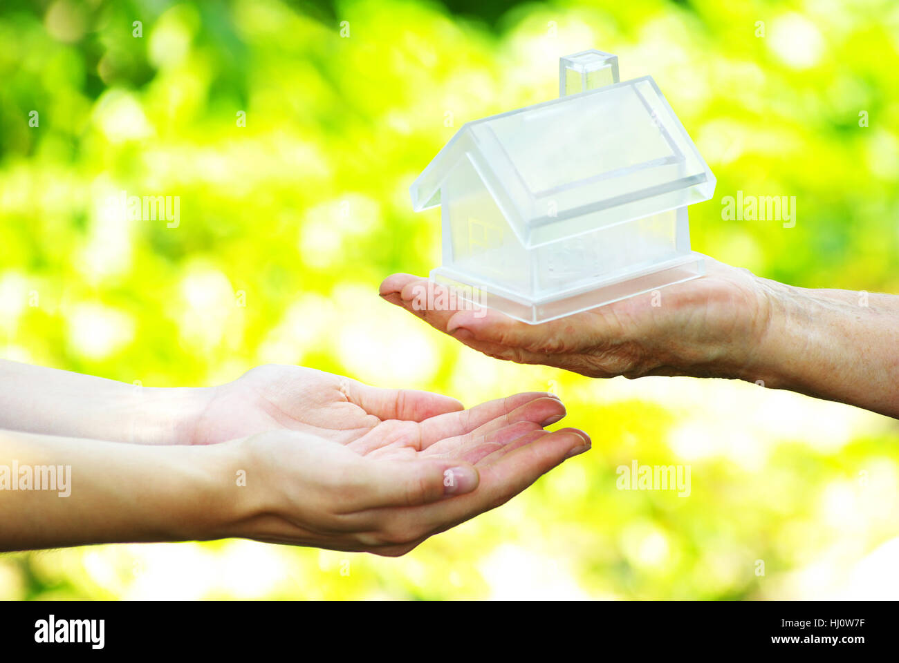 house, building, build, isolated, model, design, project, concept, plan ...