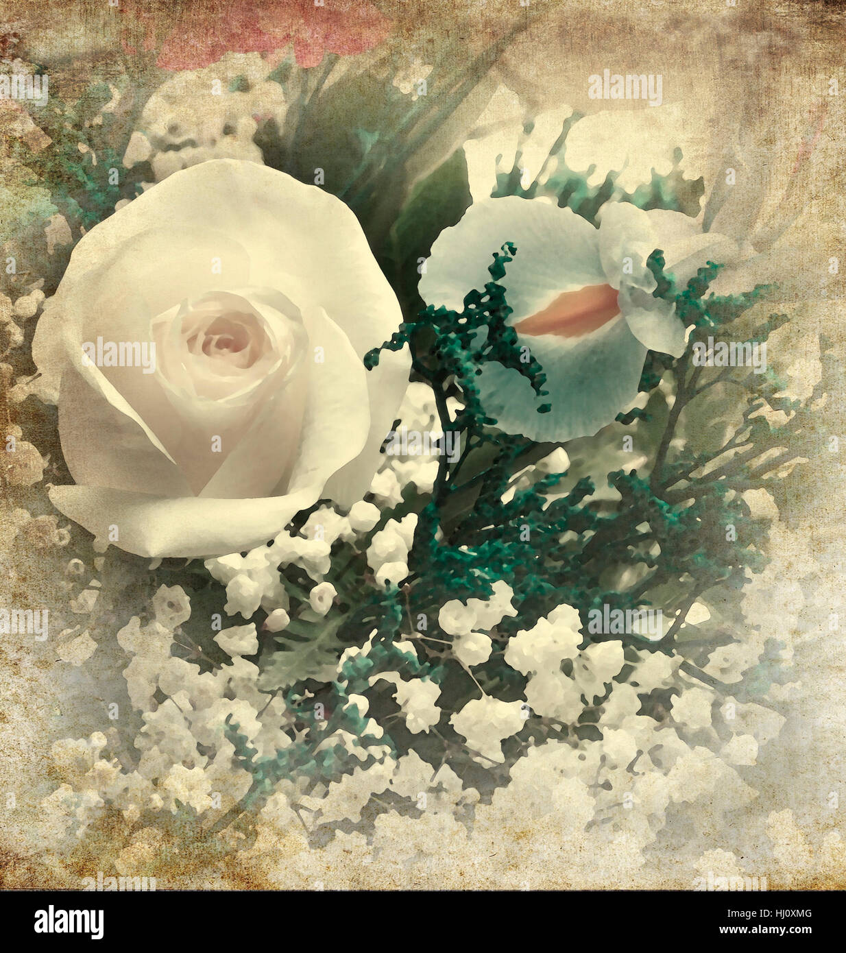 flower, plant, rose, vintage, bouquet, iris, old, nature, style, blue, Stock Photo