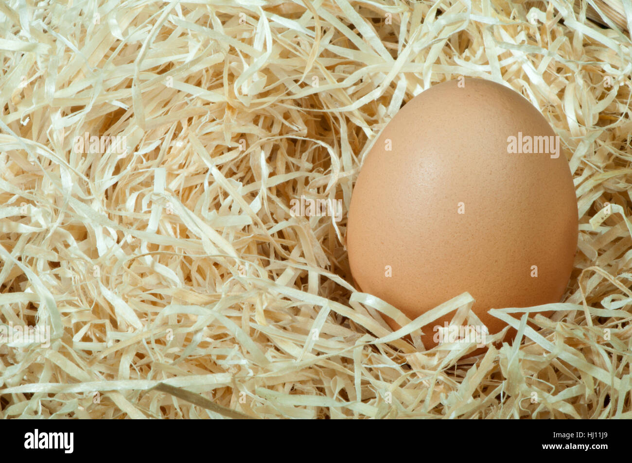 Farmain Shell food, aliment, detail, brown, brownish, brunette, agriculture, farming ...