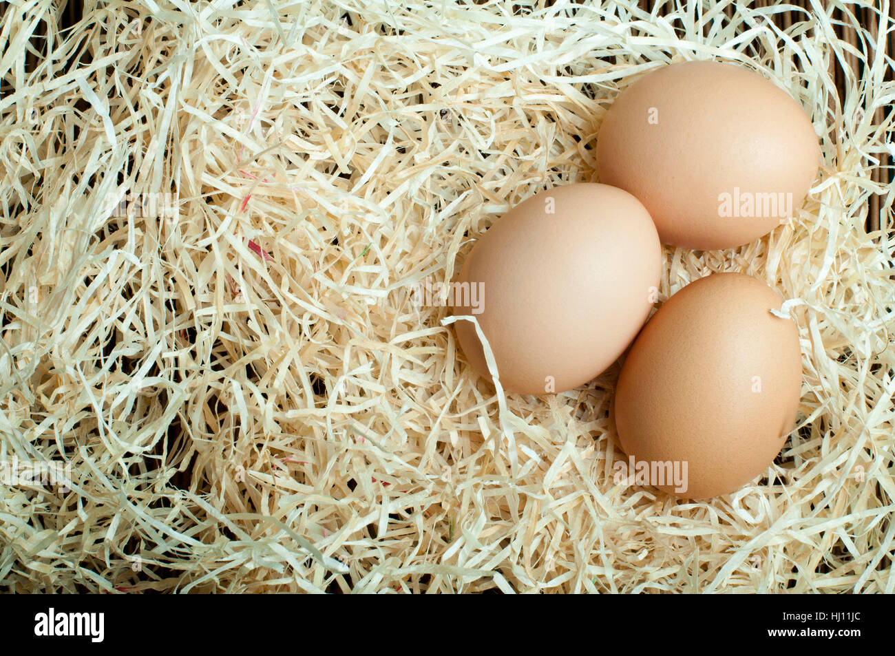Farmain Shell food, aliment, detail, brown, brownish, brunette, agriculture, farming ...