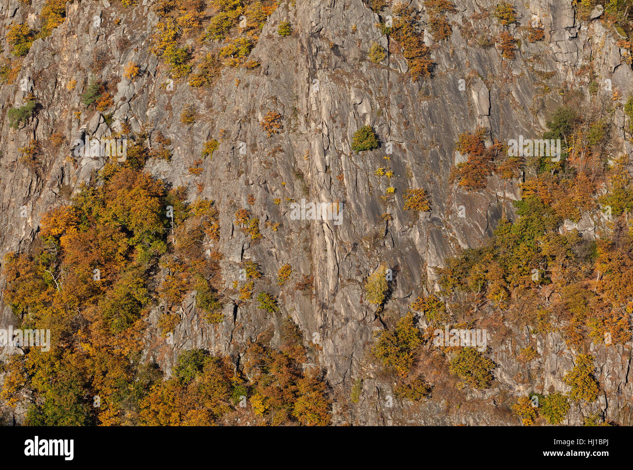 rock, blaze of colours, Canyon, mountain, mountains, coloured ...