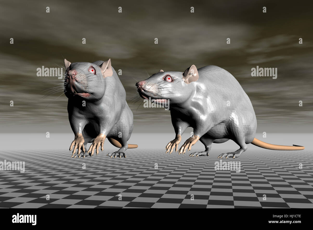 graphic, mouse, mice, rat, rats, two, graphic, black, swarthy, jetblack, deep Stock Photo