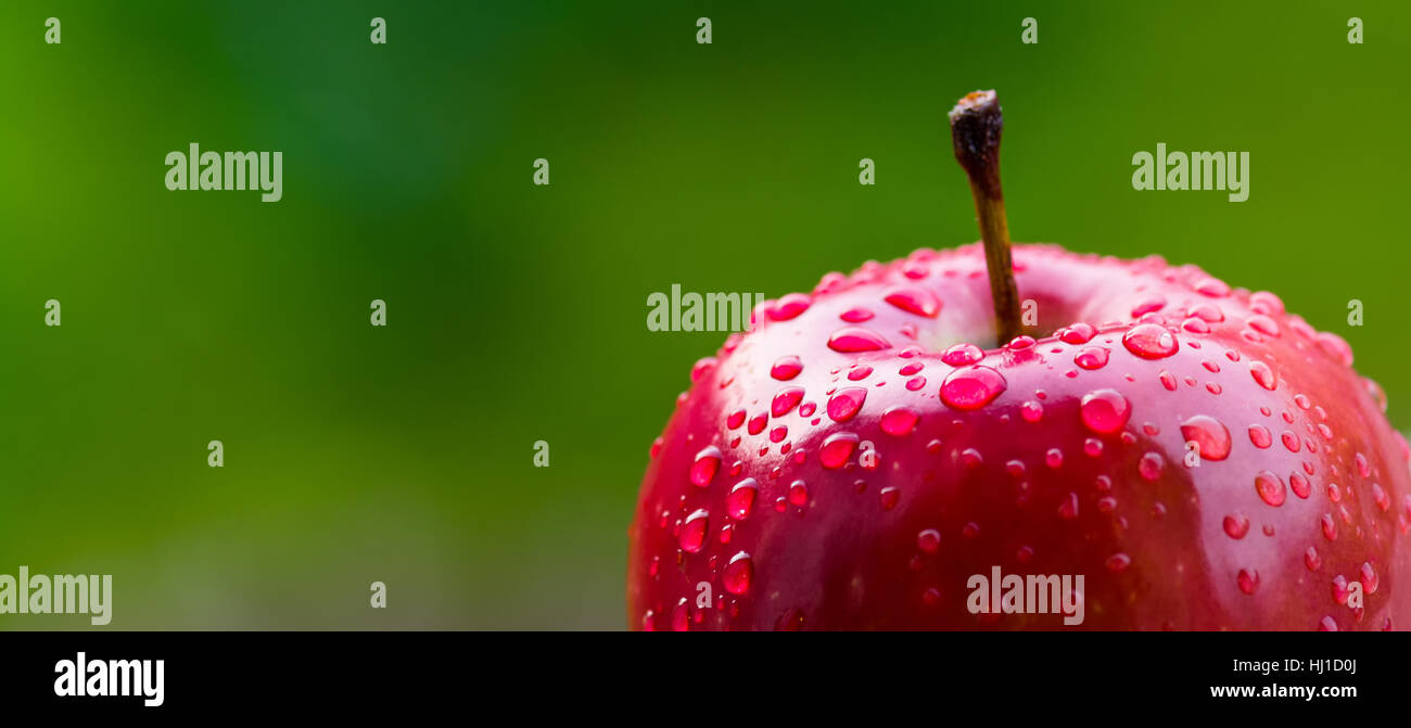 Red apple on wooden table in garden Stock Photo