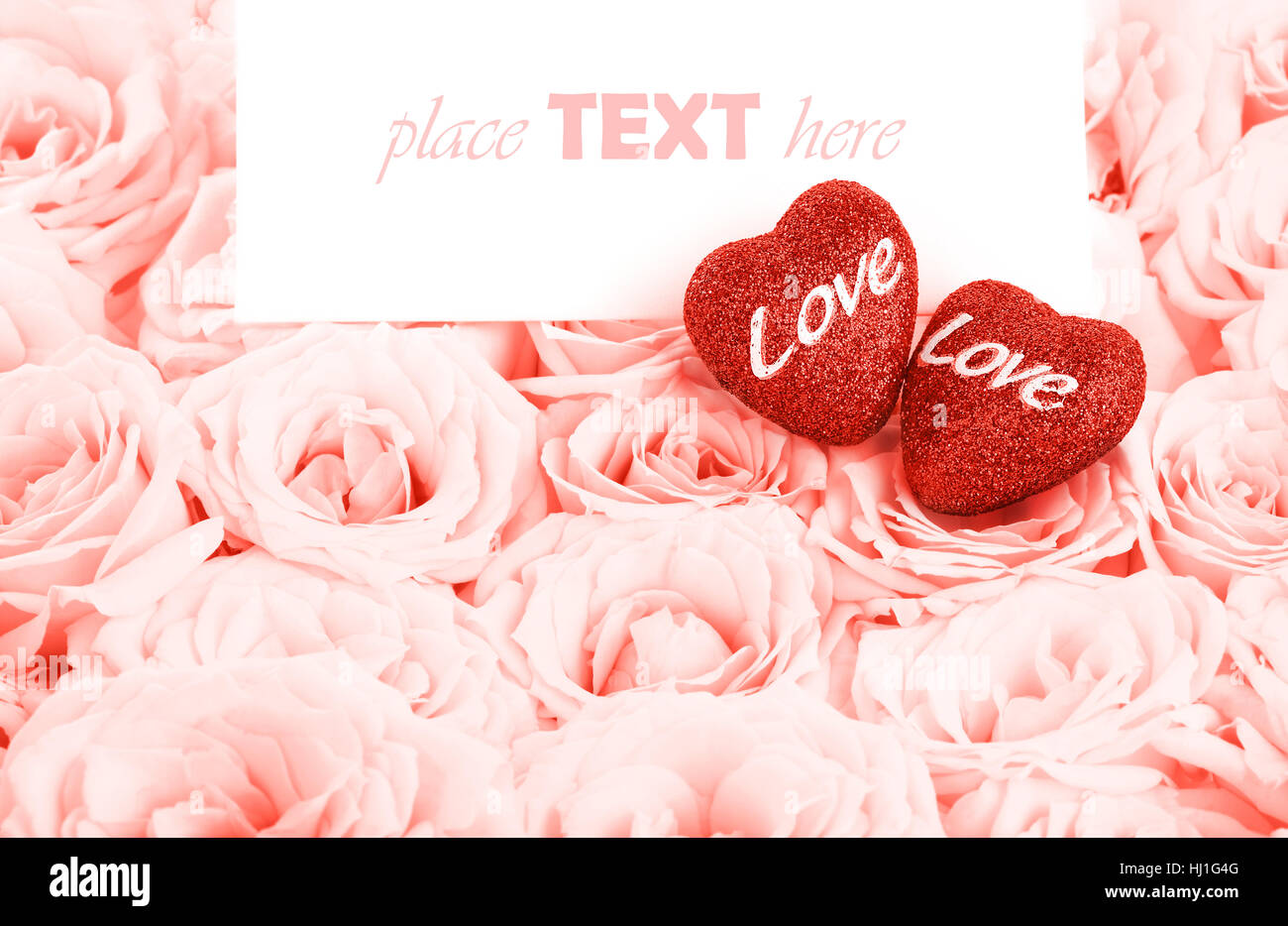 Two pink roses heart hi-res stock photography and images - Alamy