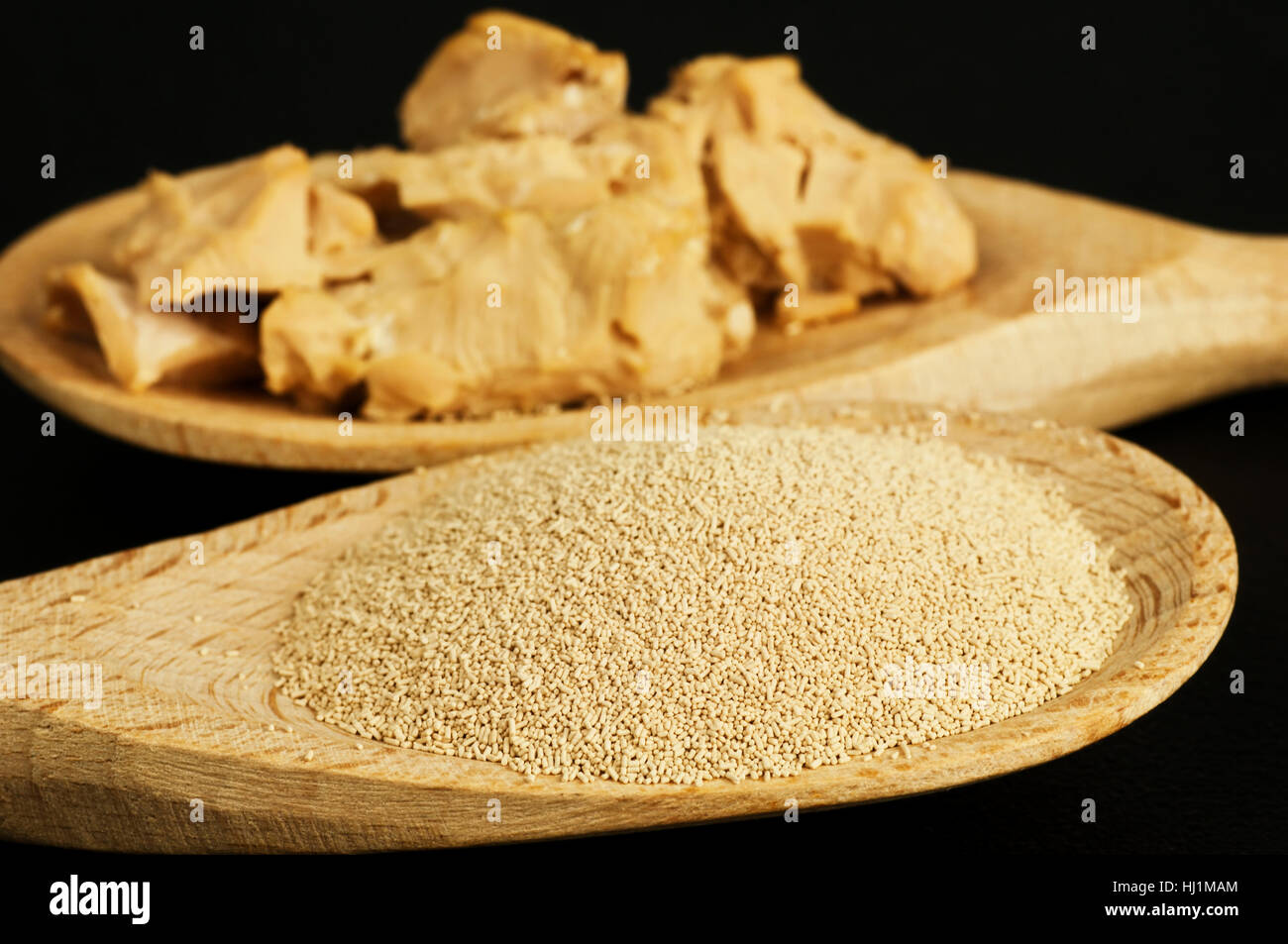 baking ingredient dried yeast and fresh yeast Stock Photo Alamy