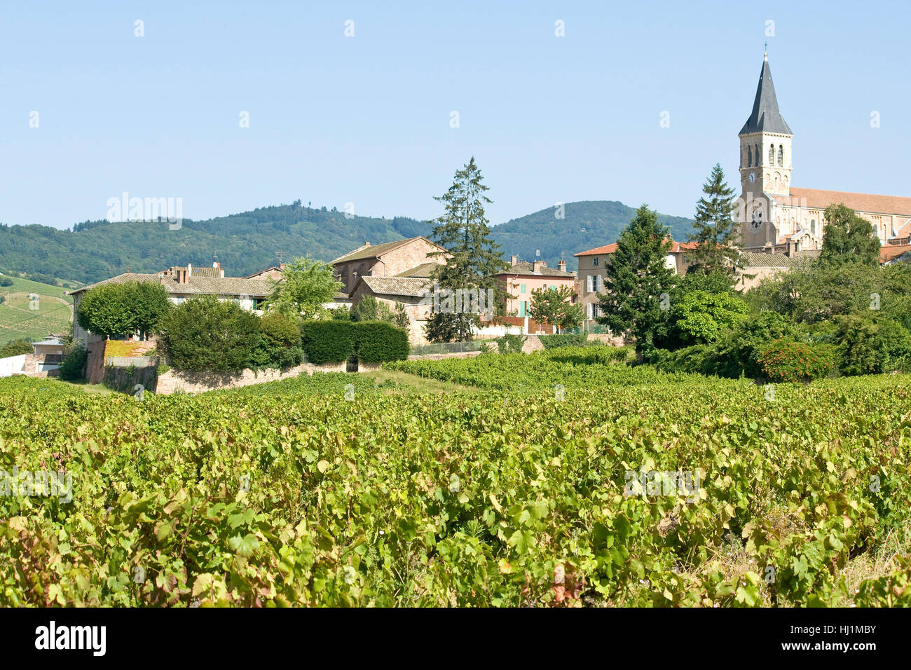 city, town, vineyard, france, wineyard, burgundy, community, village, market Stock Photo