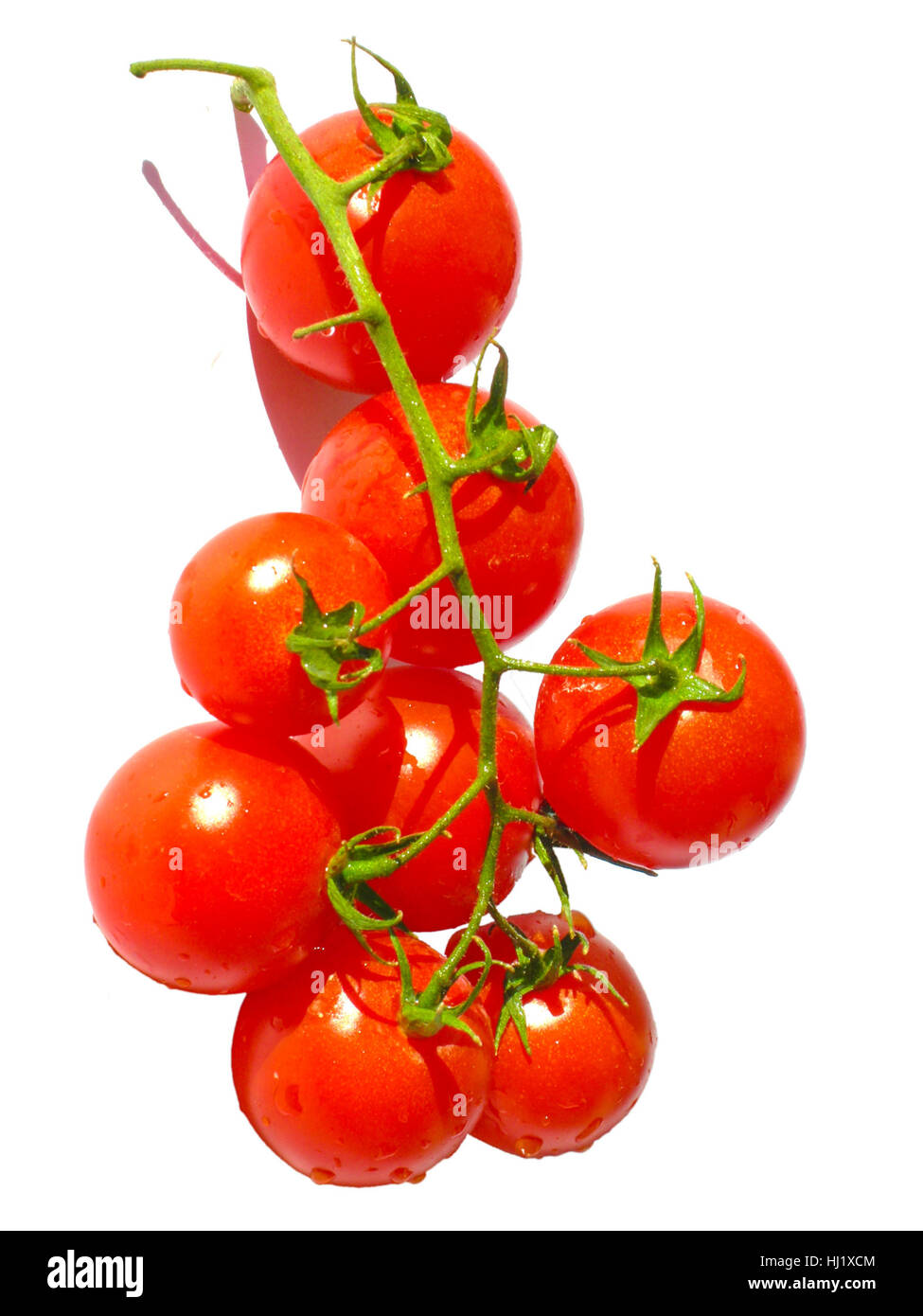 Cherry tomatoes isolated on a white background Stock Photo - Alamy