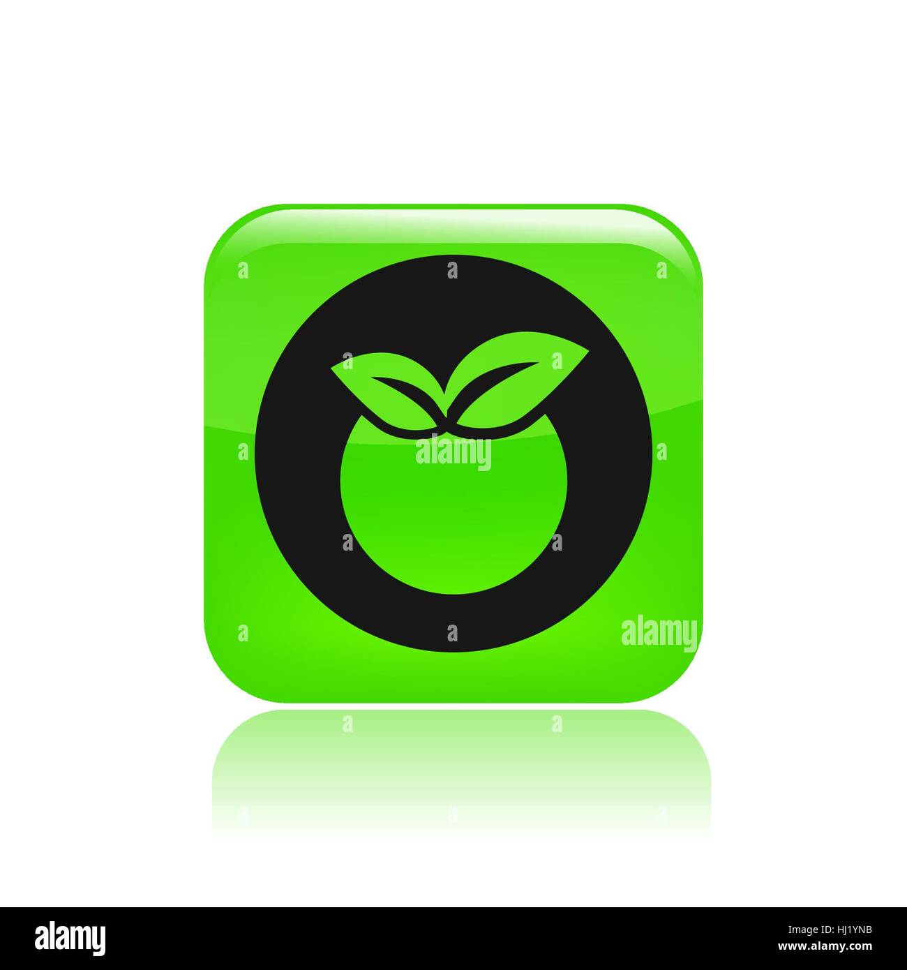 Vector illustration of single isolated fruit icon Stock Photo - Alamy