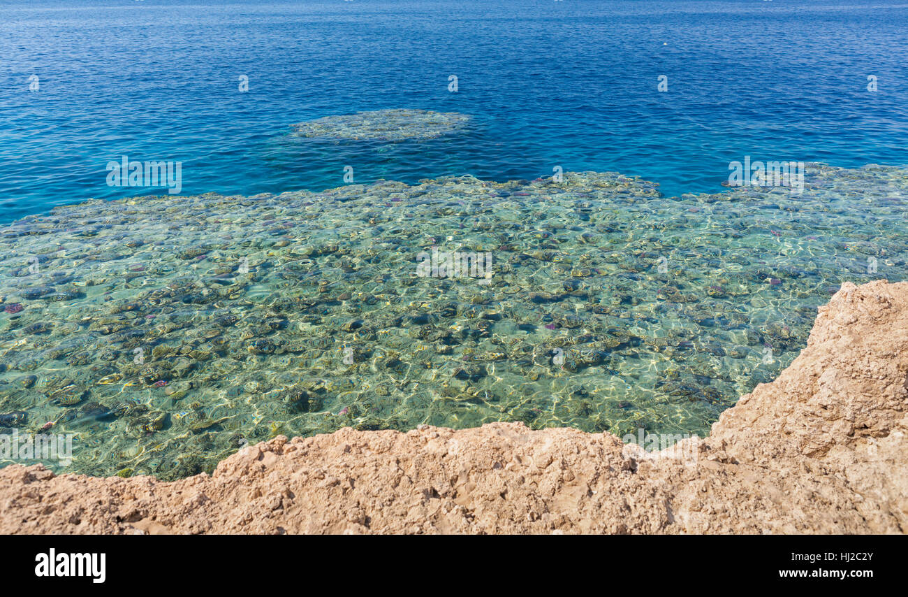 Clear turquoise sea with corals and reefs on a sunny summer day Stock Photo