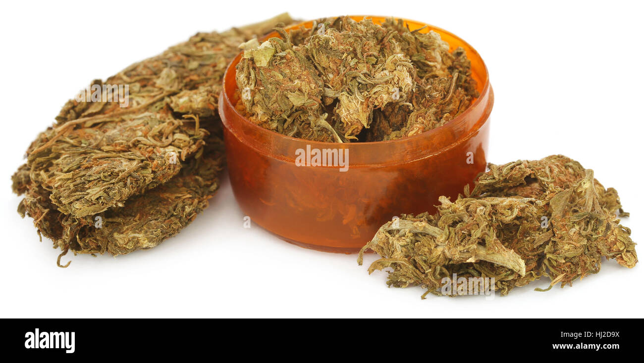 Medicinal cannabis used as legal drugs in many countries Stock Photo