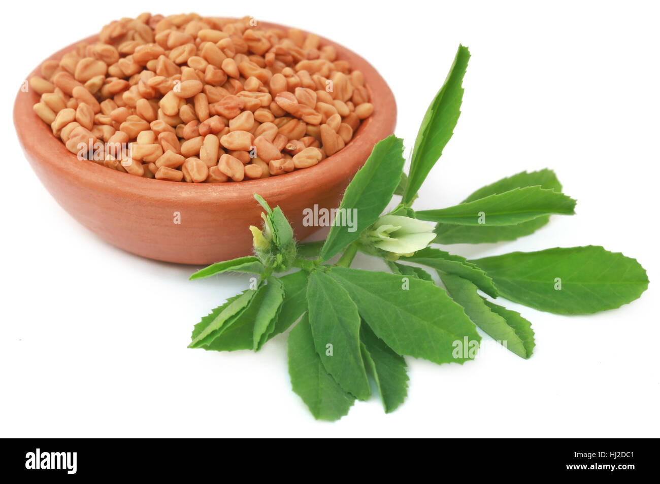 Flavoring curry leaves hires stock photography and images Alamy