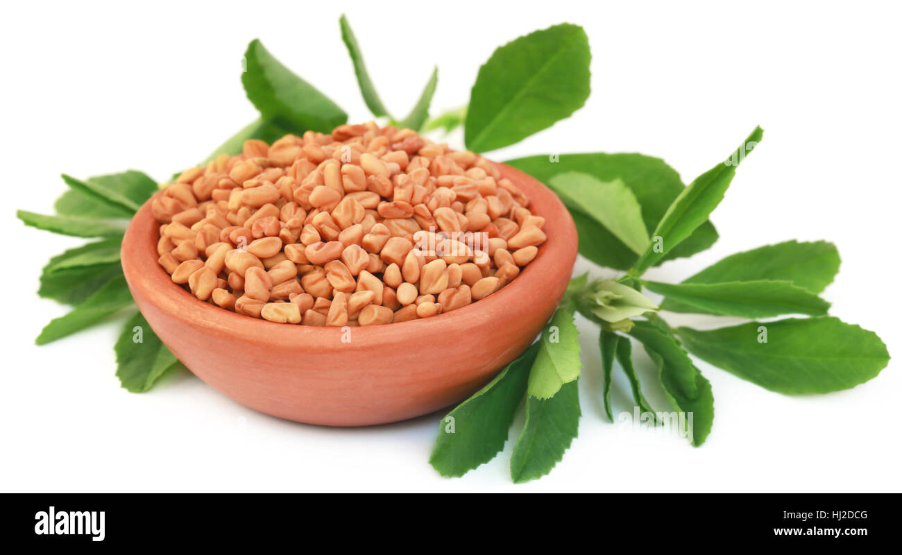 Fenugreek leaves hires stock photography and images Alamy