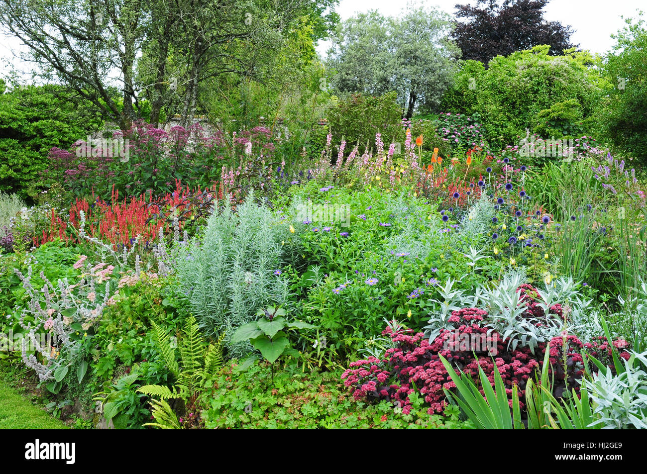 Marwood Hill Gardens. North Devon. August Stock Photo Alamy