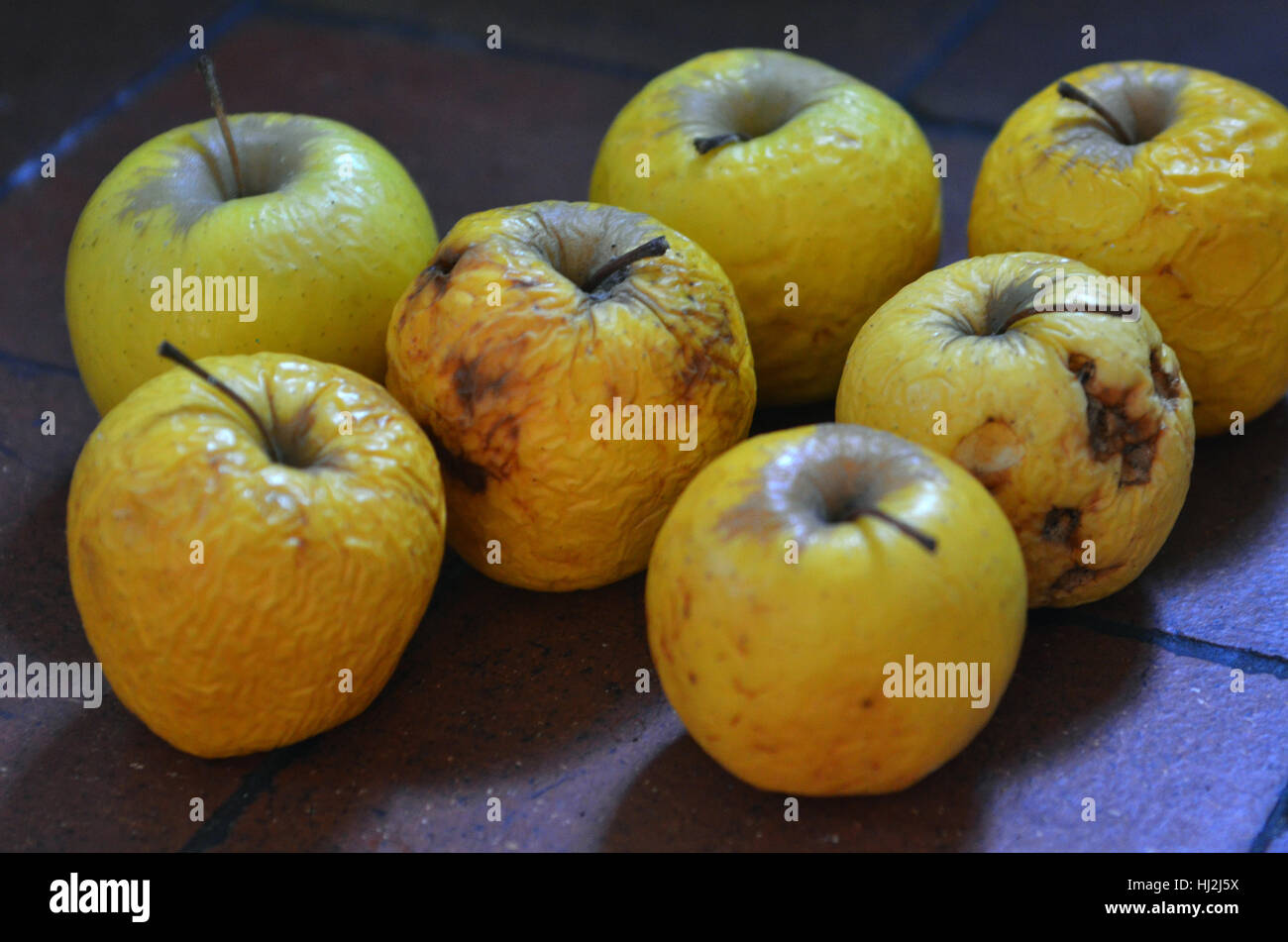 Old rotten apples Stock Photo