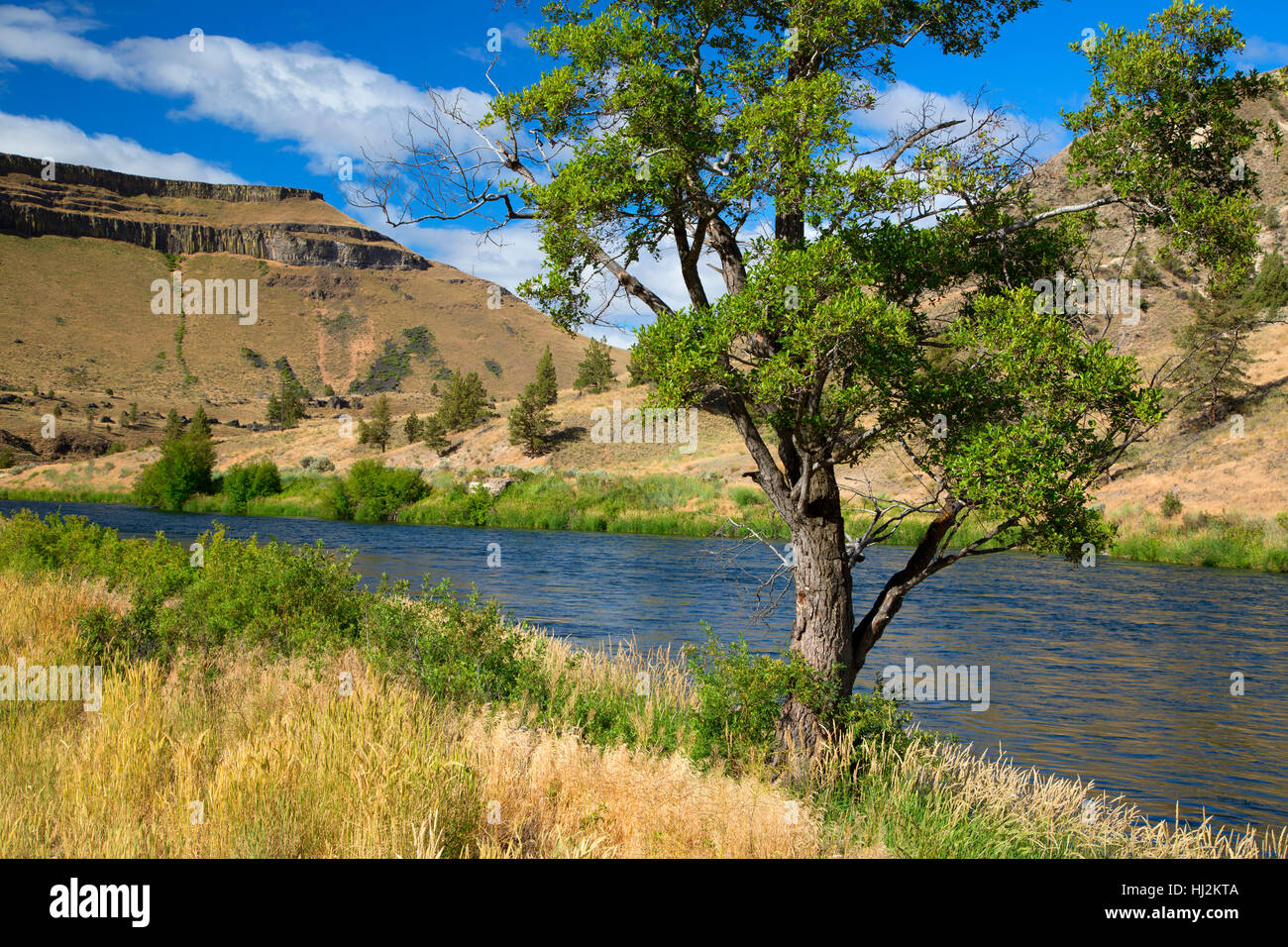 Deschutes Wild & Scenic River along Trout Creek Trail, Prineville