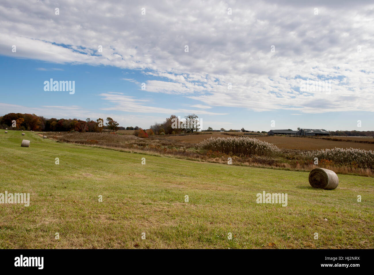 A field of green grass with a blue sky and clouds has hay bales laying ...