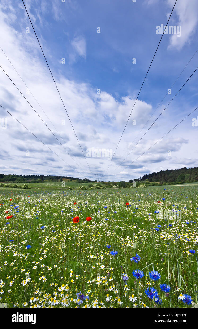 energy, power, electricity, electric power, brandenburg, transmission line, Stock Photo